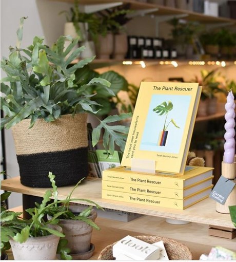 yellow plant books on a plywood shelf next to plants and other homewares accessories
