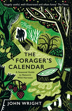 Green cover of the Forager's Calendar book featuring illustration of woodland environment